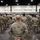 Family and Friends sends off Mass Guard Infantry Battalion for deployment Family and Friends sends off Mass Guard Infantry Battalion for deployment