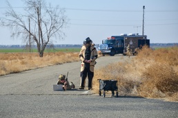 EOD Training Exercise