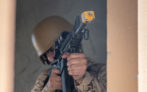 FASTCENT and Bahrain Defense Force Conduct Room Clearing Training during Exercise Diamond Defender 24