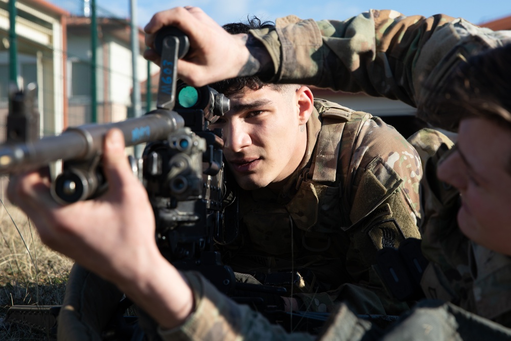 Bastion Company, 54th Brigade Engineer Battalion, 173rd Airborne Brigade conducts NARF training