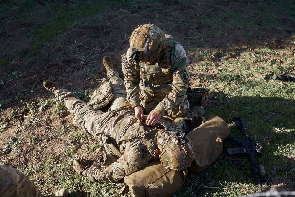 Sky Soldiers Conduct A Blank and Live Fire Exercise During Repel Resolve II