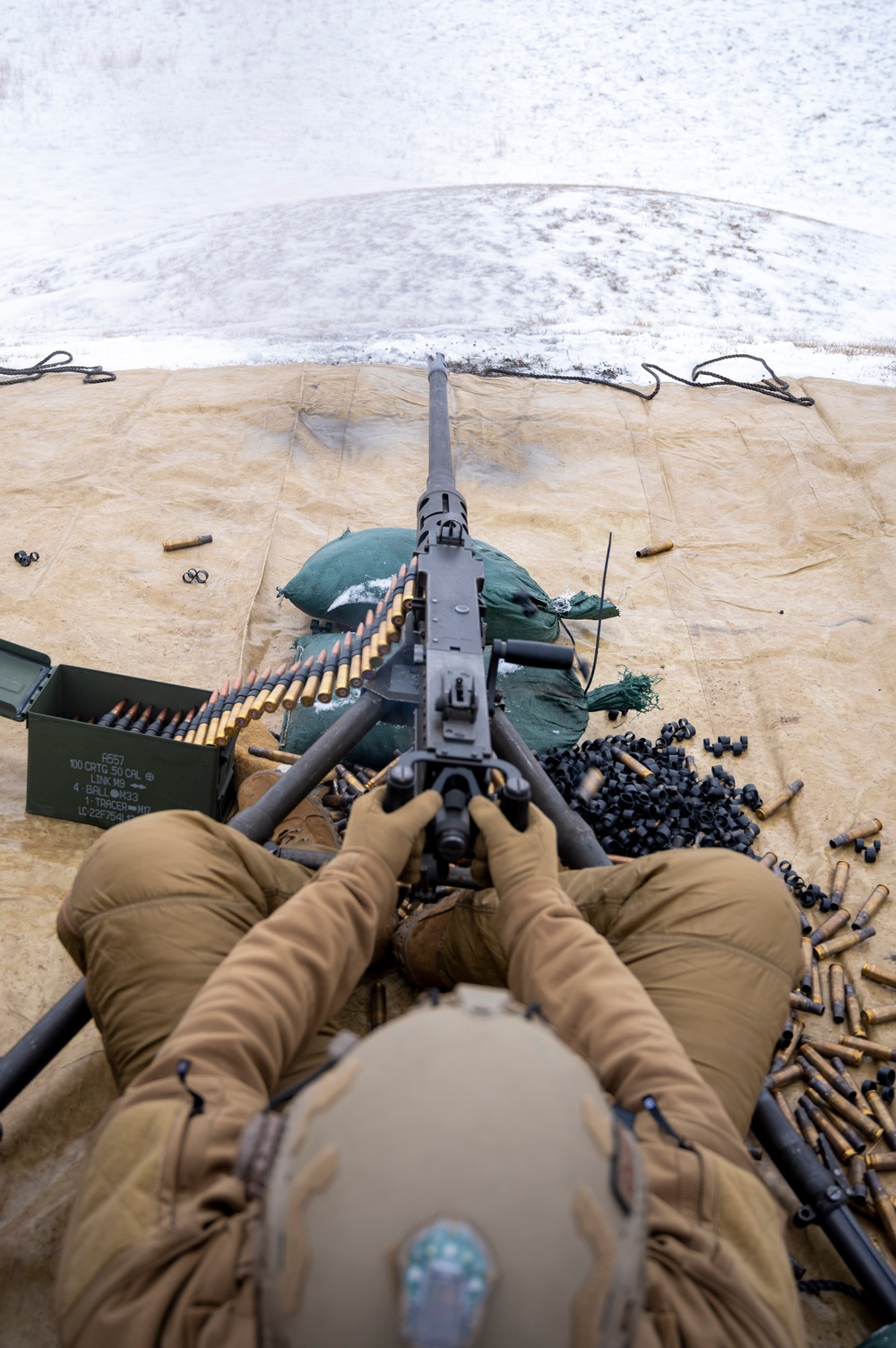 Navy Explosive Ordnance Disposal Hosts Arctic Training Exercise Snow Crab Ex 24-1