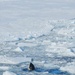 Coast Guard Cutter Polar Star (WAGB 10) breaks channel to McMurdo Station, Antarctica