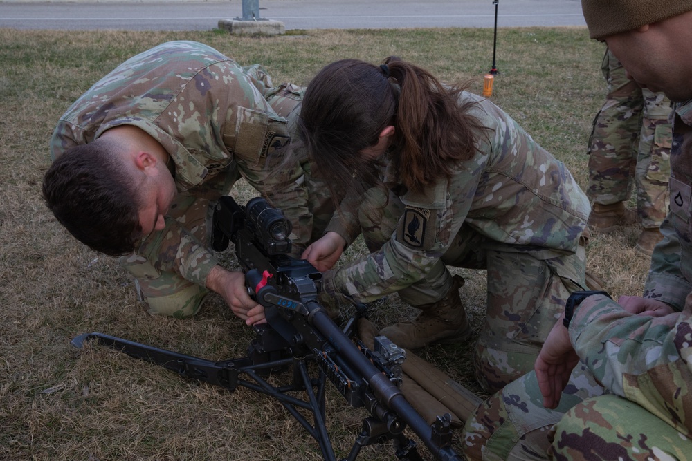 Bastion Company, 54th Brigade Engineer Battalion, 173rd Airborne Brigade conducts NARF training