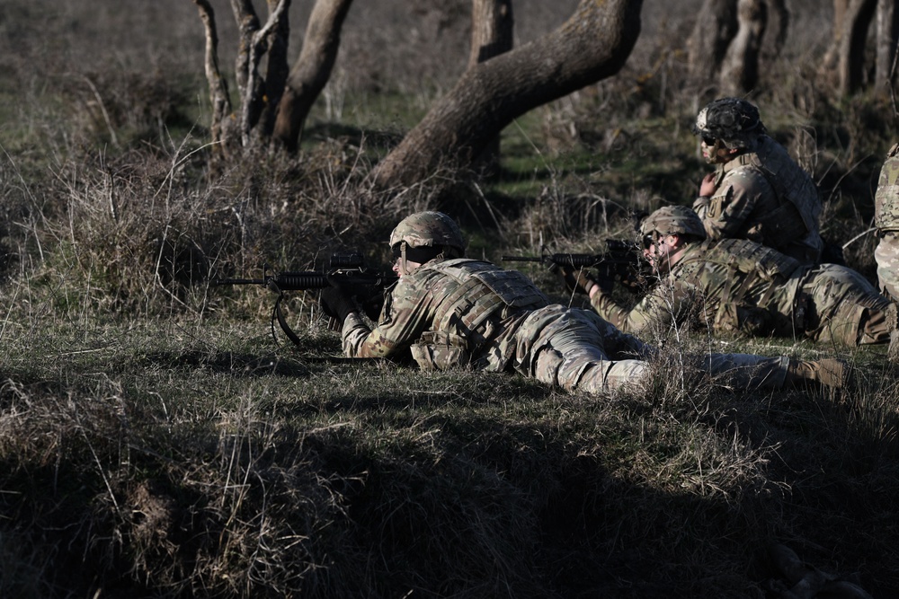 Repel Resolve II Exercise at Monte Romano