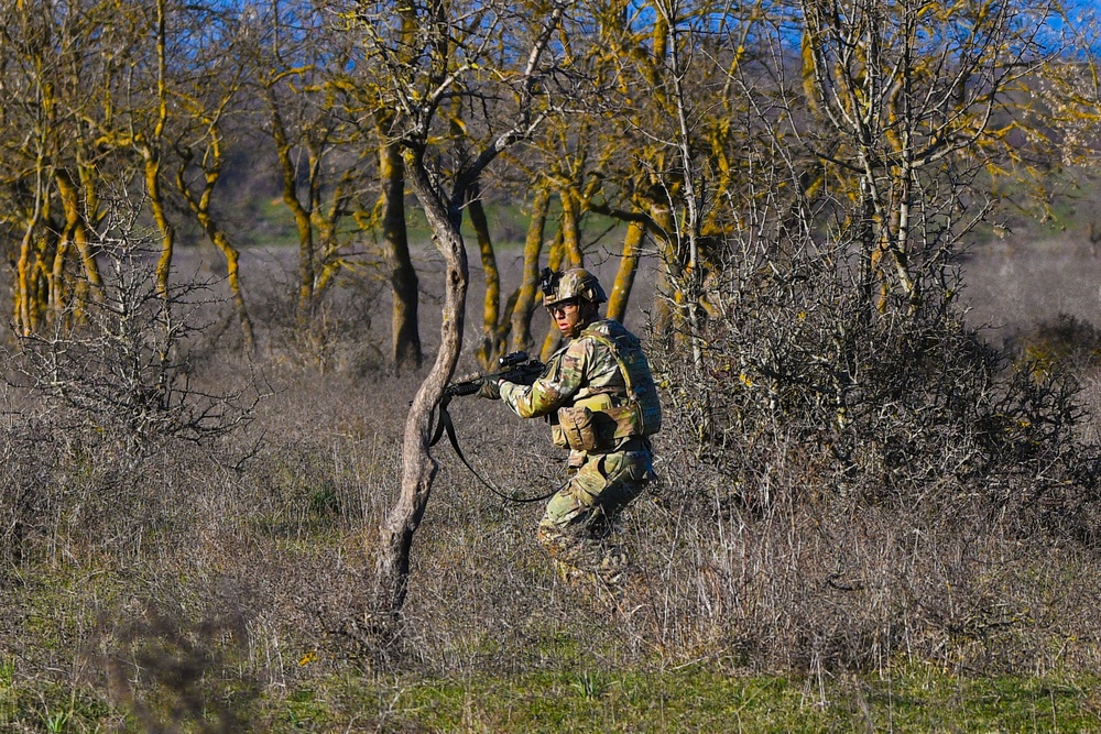 Repel Resolve II Exercise at Monte Romano