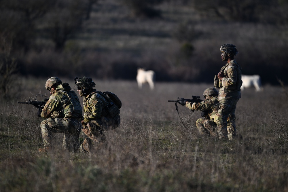 Repel Resolve II Exercise at Monte Romano