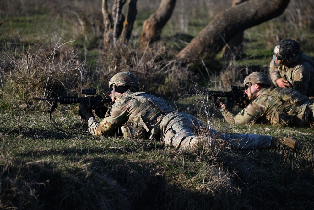 Repel Resolve II Exercise at Monte Romano