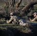 Repel Resolve II Exercise at Monte Romano