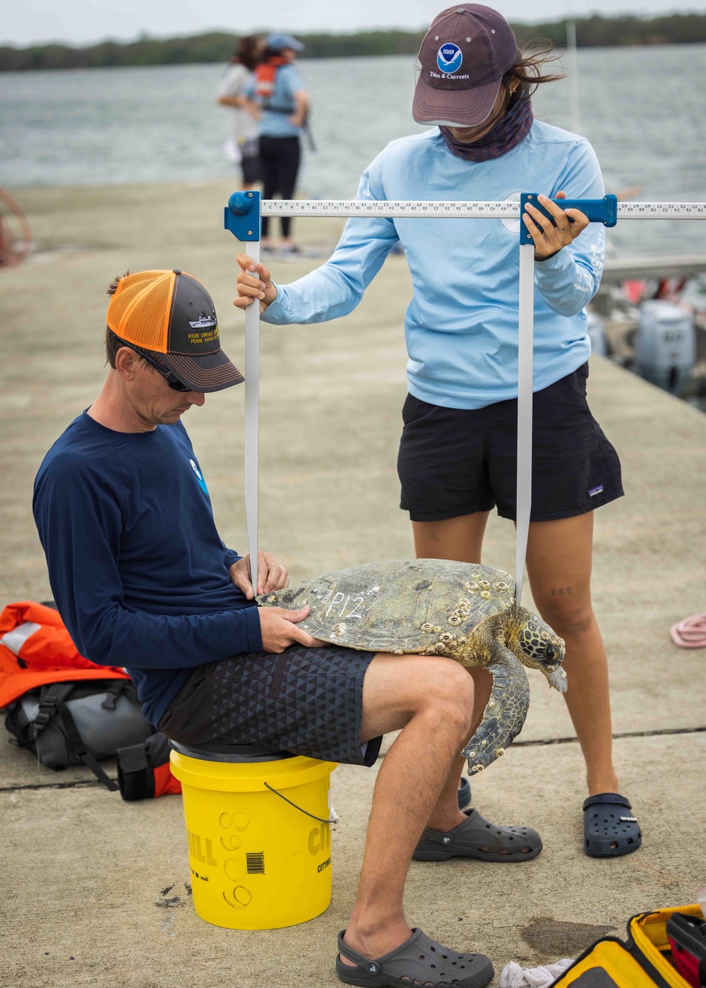 NMFS and NAVFAC Hawaii Sea Turtle Tagging Project