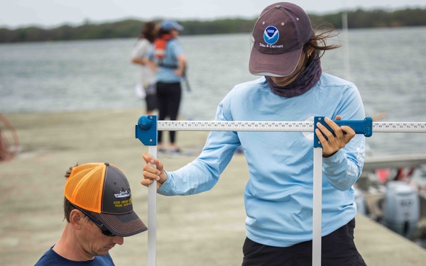 NMFS and NAVFAC Hawaii Sea Turtle Tagging Project