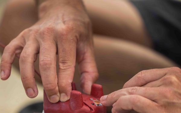 NMFS and NAVFAC Hawaii Sea Turtle Tagging Project