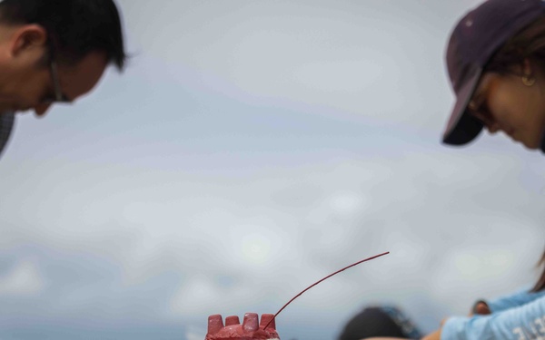 NMFS and NAVFAC Hawaii Sea Turtle Tagging Project