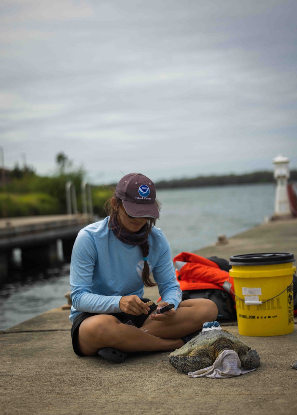 NMFS and NAVFAC Hawaii Sea Turtle Tagging Project