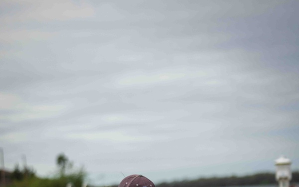 NMFS and NAVFAC Hawaii Sea Turtle Tagging Project