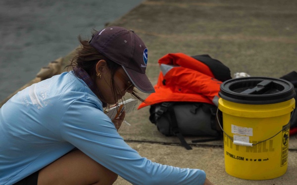 NMFS and NAVFAC Hawaii Sea Turtle Tagging Project