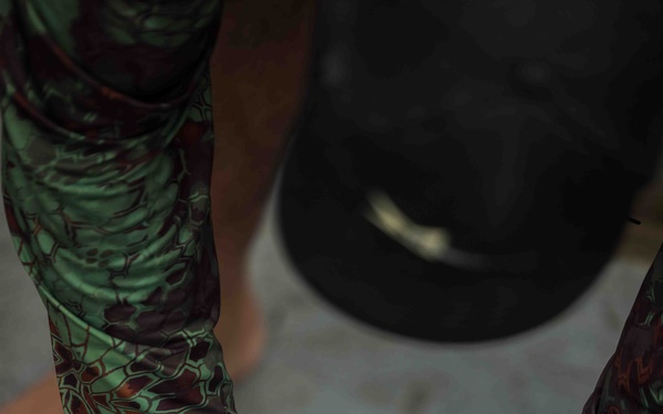 NMFS and NAVFAC Hawaii Sea Turtle Tagging Project