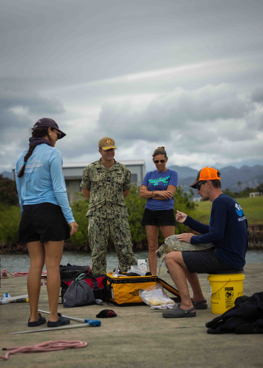 NMFS and NAVFAC Hawaii Sea Turtle Tagging Project