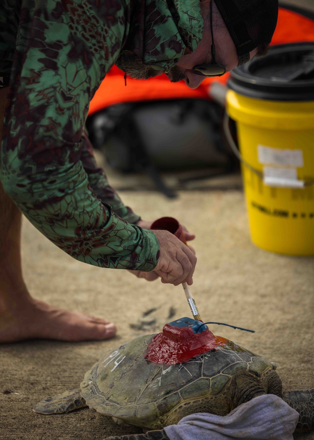 NMFS and NAVFAC Hawaii Sea Turtle Tagging Project