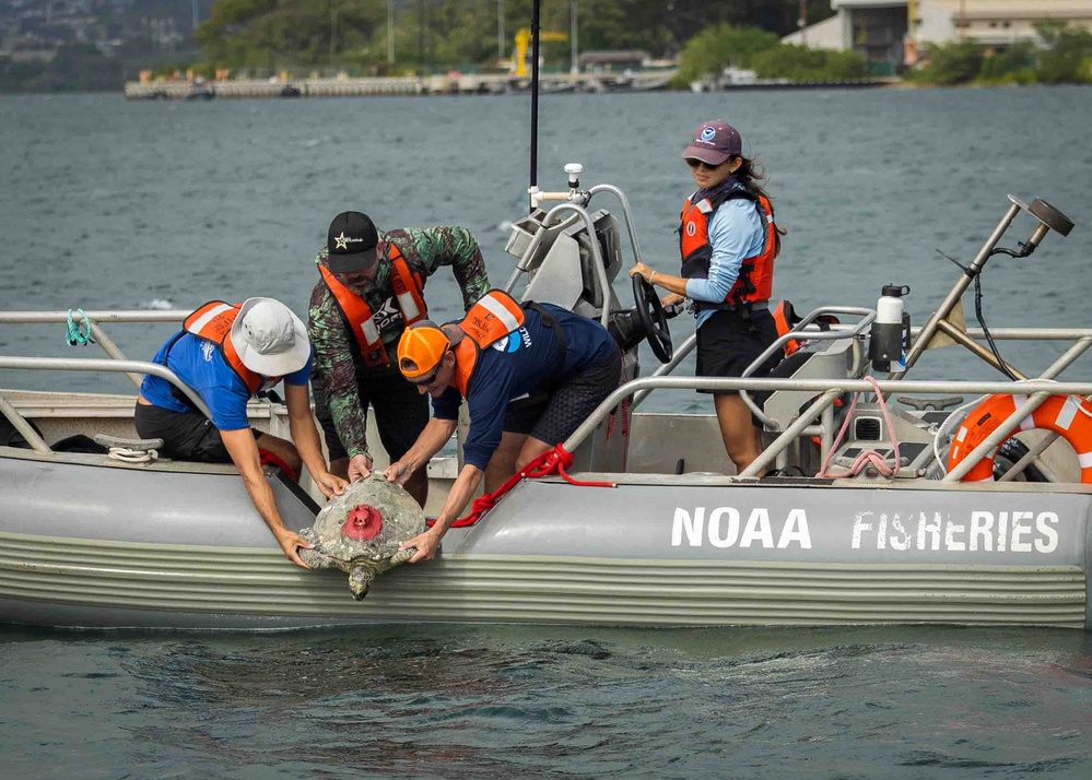 NMFS and NAVFAC Hawaii Sea Turtle Tagging Project