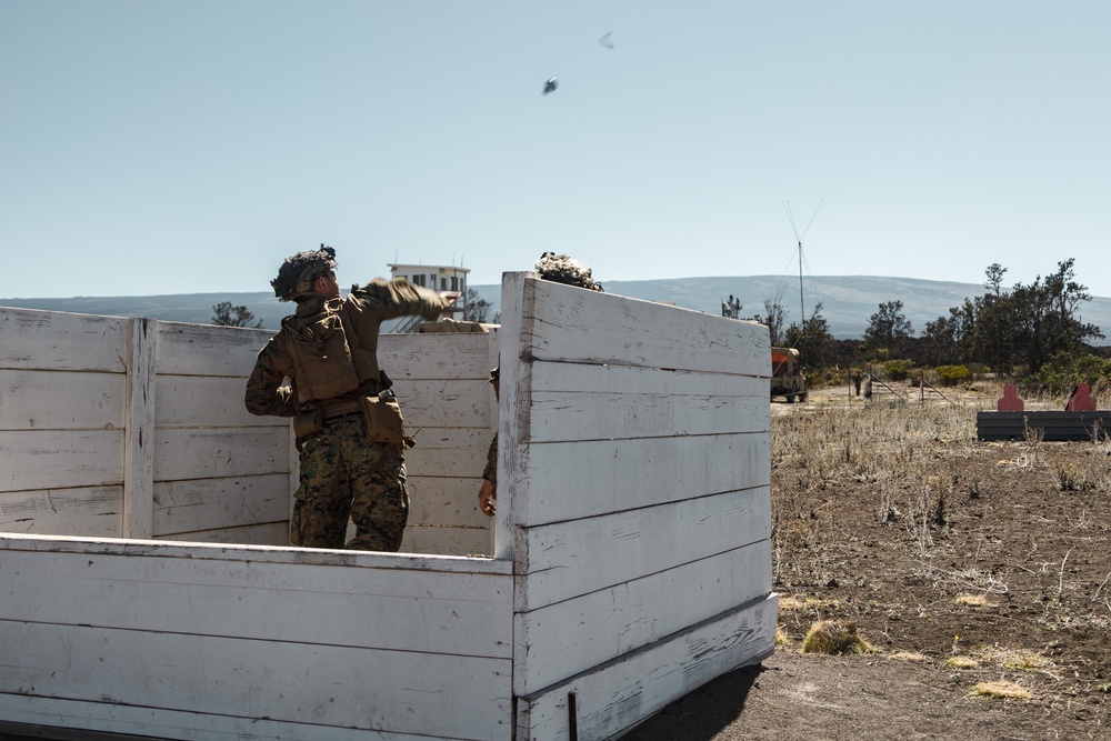 3d LCT Grenade Range