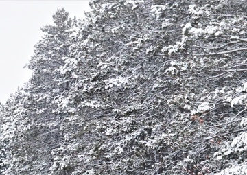 Winter weather hits Fort McCoy with snow, extreme cold in mid-January 2024