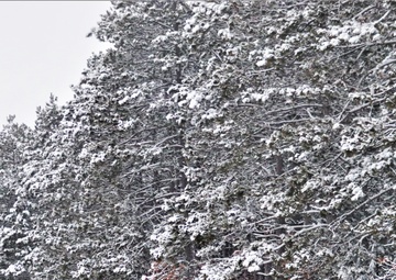 Winter weather hits Fort McCoy with snow, extreme cold in mid-January 2024