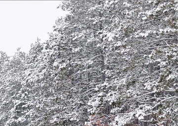 Winter weather hits Fort McCoy with snow, extreme cold in mid-January 2024