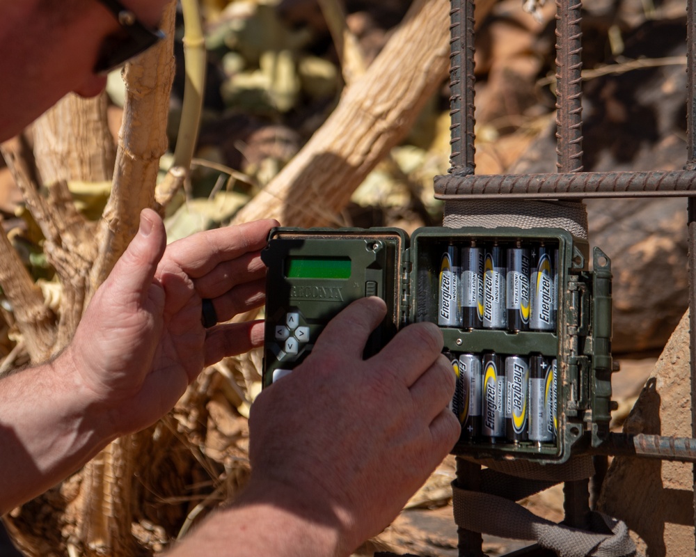 Flight safety BASHes airfield hazards at AB 201