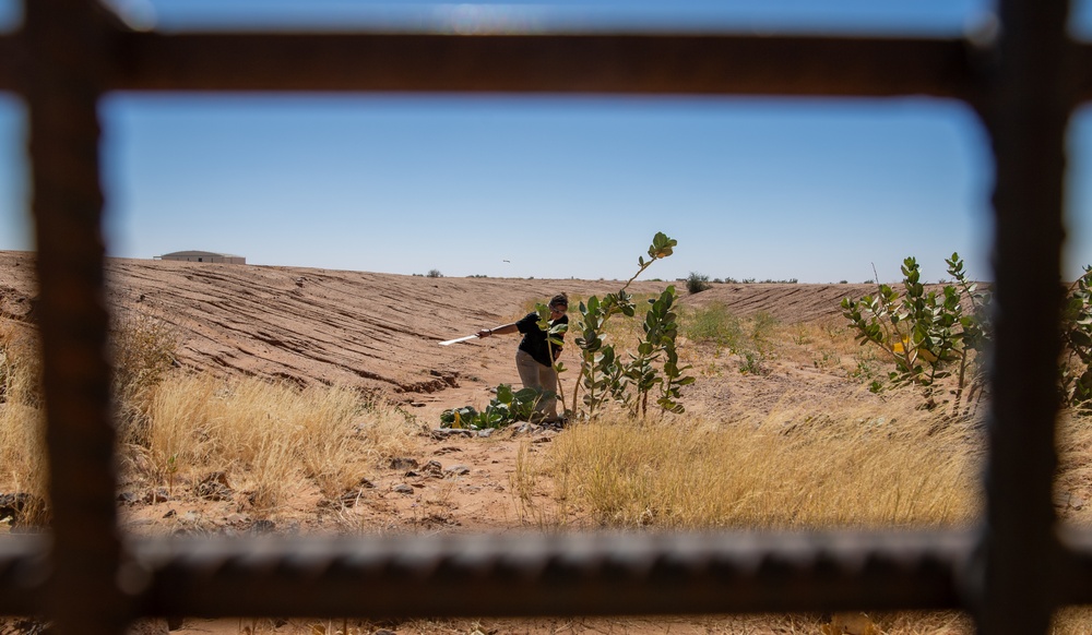 Flight safety BASHes airfield hazards at AB 201