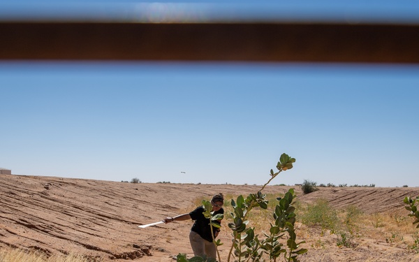 Flight safety BASHes airfield hazards at AB 201