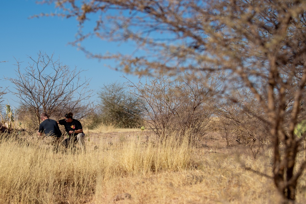 Flight safety BASHes airfield hazards at AB 201