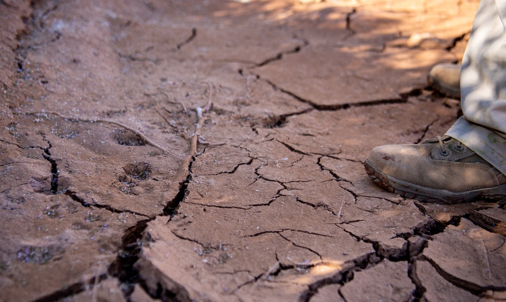 Flight safety BASHes airfield hazards at AB 201