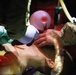 BPLFX Medical Training