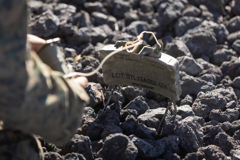 3d LCT Demo Range