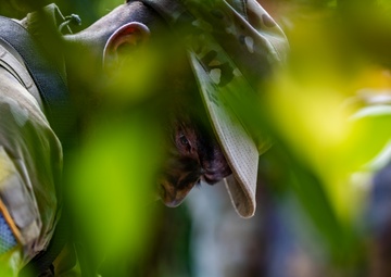 U.S. Army Military Intelligence Corps Compete For Top Honors