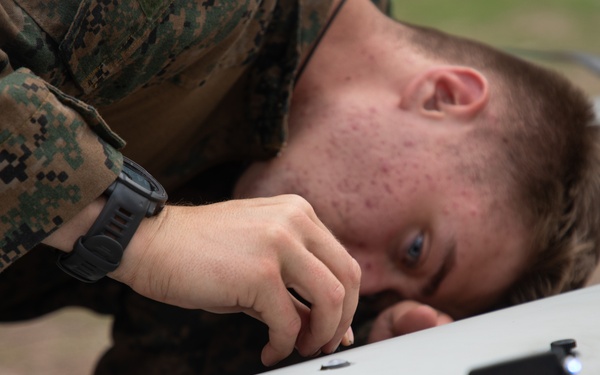 3d LCT| The LRT and the Stalker