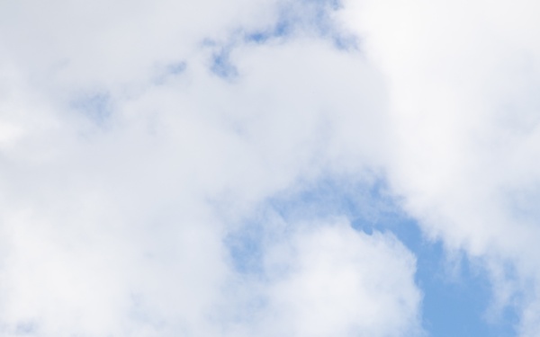 3d LCT| The LRT and the Stalker