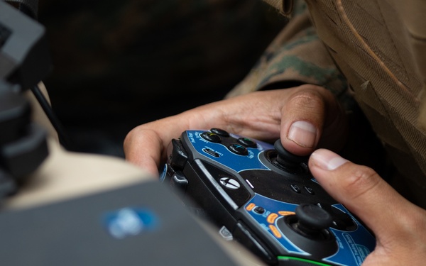 3d LCT| The LRT and the Stalker