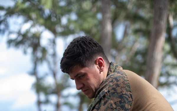 3d LCT| The LRT and the Stalker