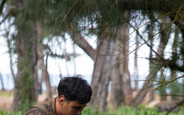 3d LCT| The LRT and the Stalker