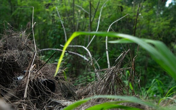 3d LCT| The LRT and the Stalker