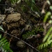 3d Marine Division Squad Competition: Defensive Operations