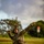 U.S. Army Military Intelligence Corps Compete For Top Honors U.S. Army Military Intelligence Corps Compete For Top Honors