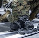 2nd Marine Division Prepares for NATO Exercise Nordic Response 24