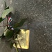Holocaust Remembrance in Vicenza