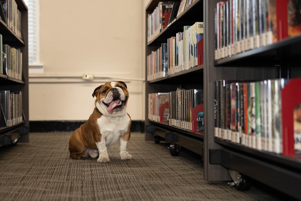 MCRD San Diego Mascot Monday