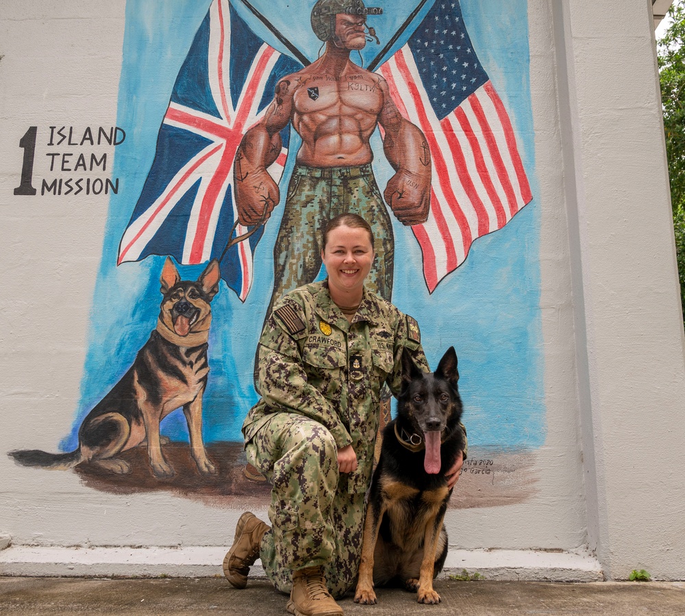 NSF Diego Garcia Military Working Dog Timi Retires from the U.S. Navy