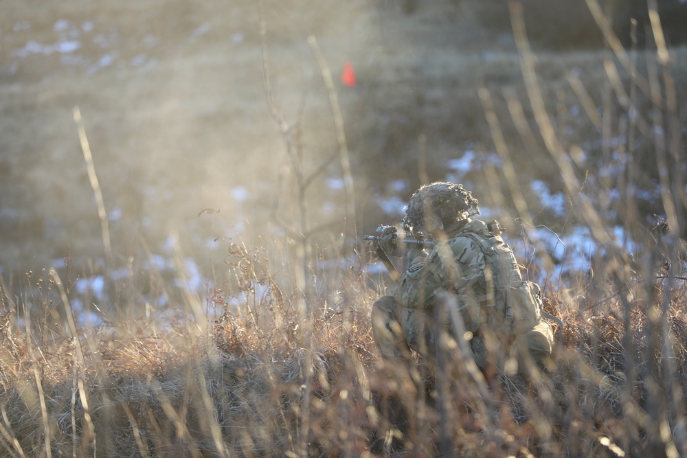 173rd Airborne Brigade conducts Exercise Rock Inferno