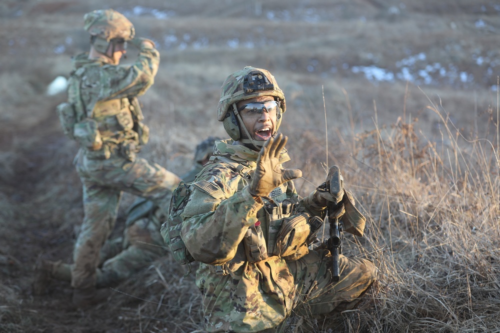 173rd Airborne Brigade conducts Exercise Rock Inferno